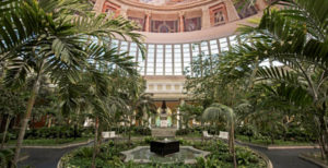 Iberostar Grand Hotel Paraiso Conservatory